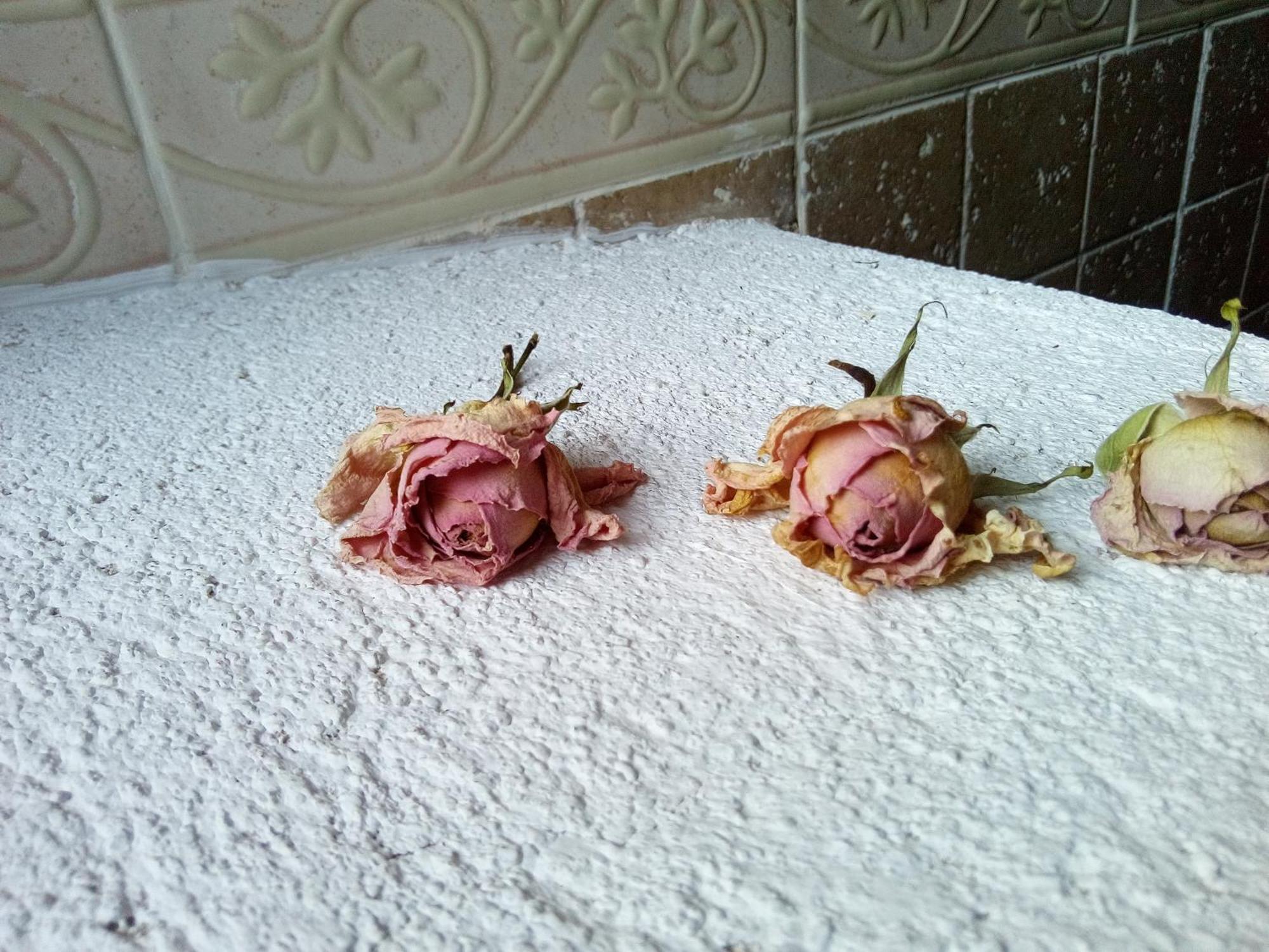 Posada Del Dulce Sueno Mojares 外观 照片