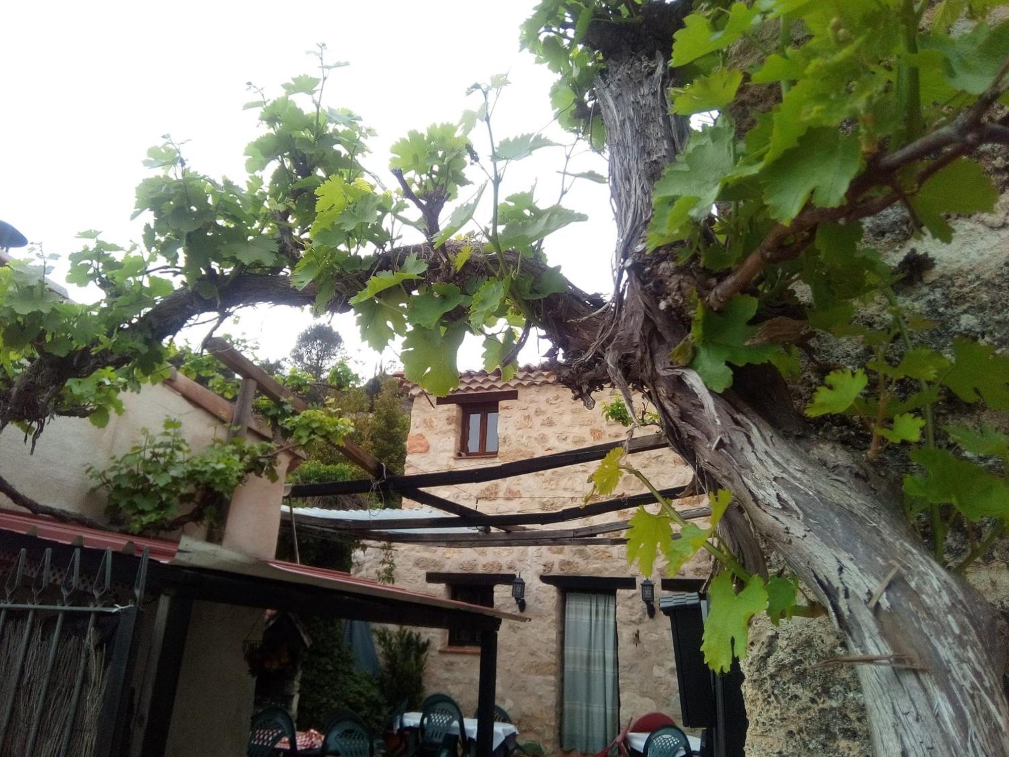 Posada Del Dulce Sueno Mojares 外观 照片